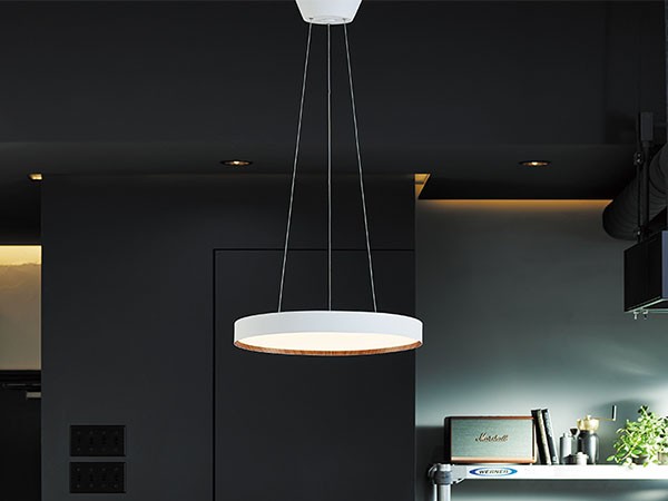 LED Pendant Lamp / LED ペンダントランプ #113764 （ライト・照明 > ペンダントライト） 6