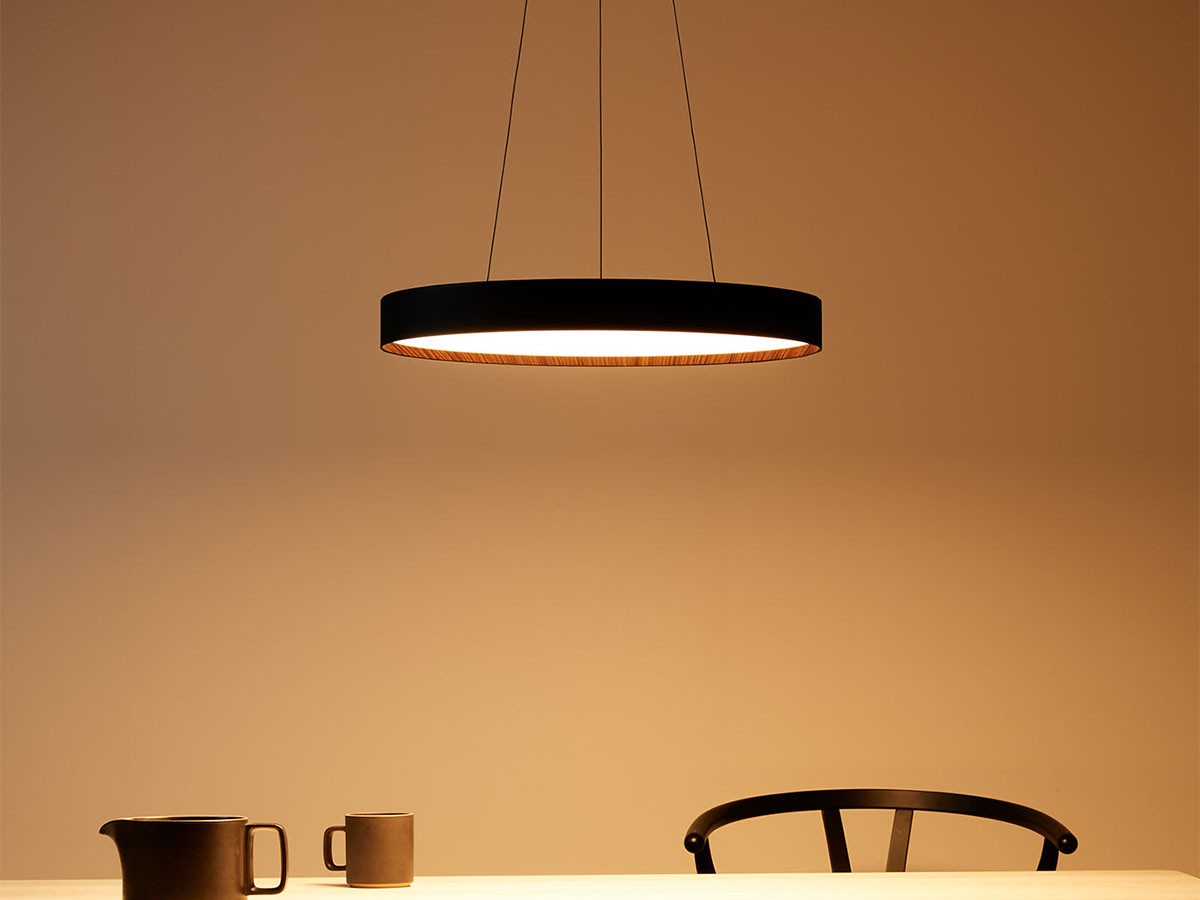 LED Pendant Lamp / LED ペンダントランプ #113764 （ライト・照明 > ペンダントライト） 11