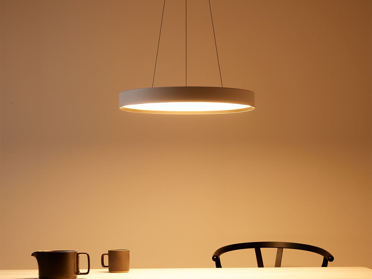 LED Pendant Lamp / LED ペンダントランプ #113764 （ライト・照明 > ペンダントライト） 13