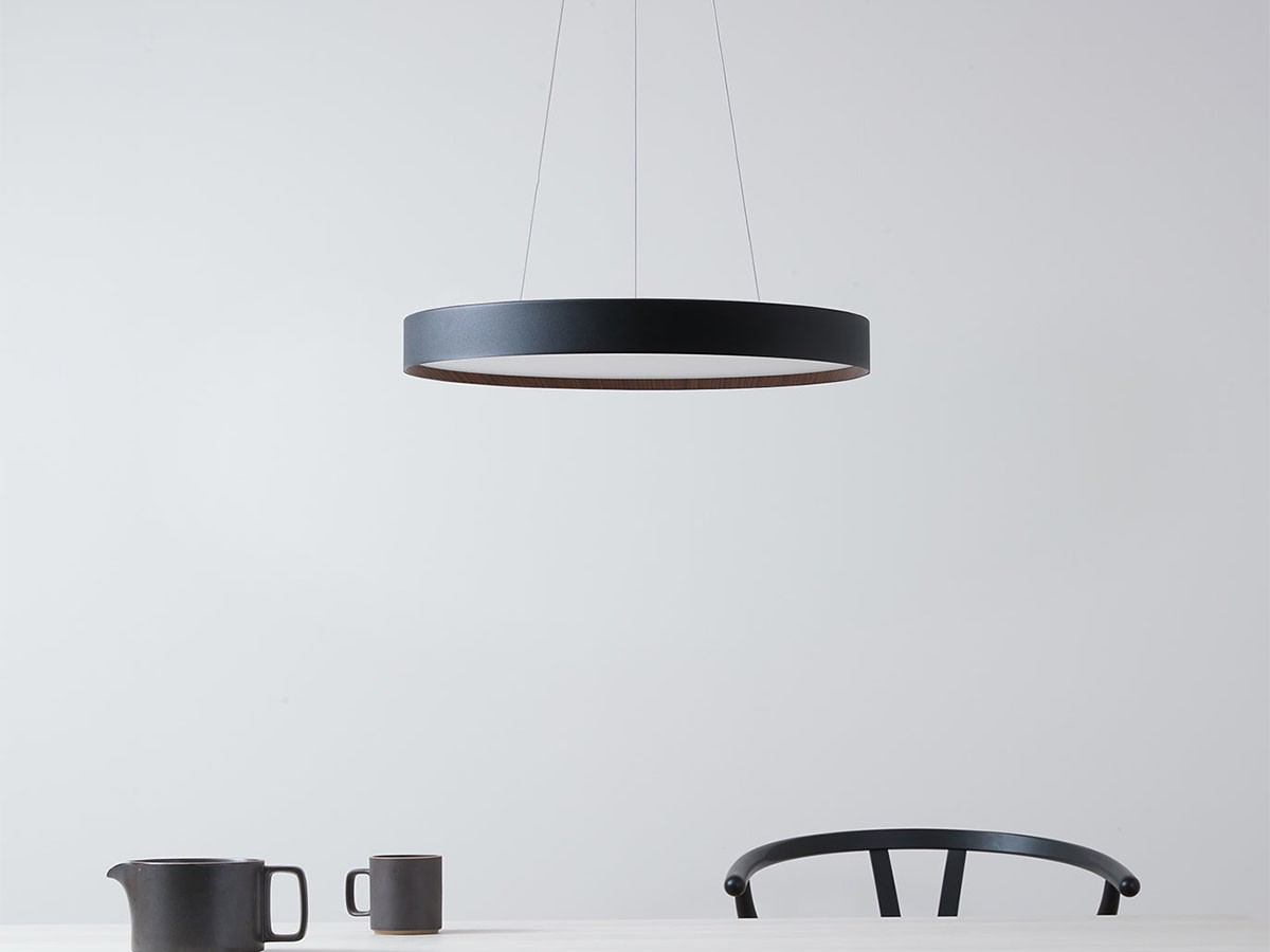 LED Pendant Lamp / LED ペンダントランプ #113764 （ライト・照明 > ペンダントライト） 10