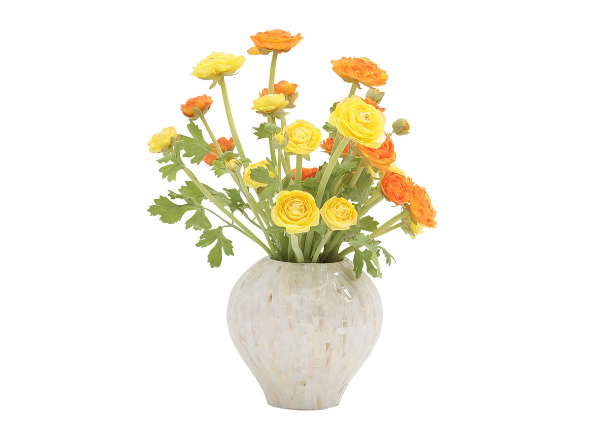 EMILIO ROBBA RANUNCULUS / エミリオロバ ラナンキュラス #101693