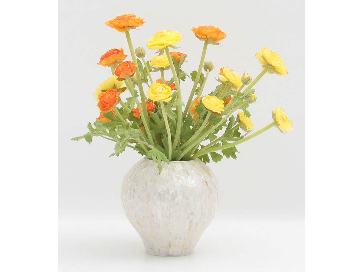 EMILIO ROBBA RANUNCULUS / エミリオロバ ラナンキュラス #101693