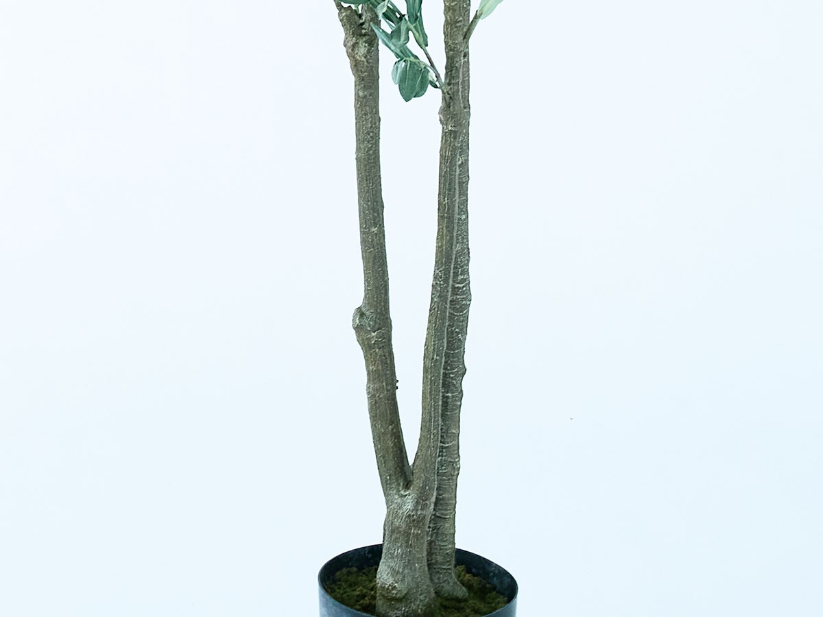 BROWN Olive Pot / ブラウン オリーブ ポット 180 （花器・プランター・グリーン > フェイクグリーン・フェイクフラワー） 6