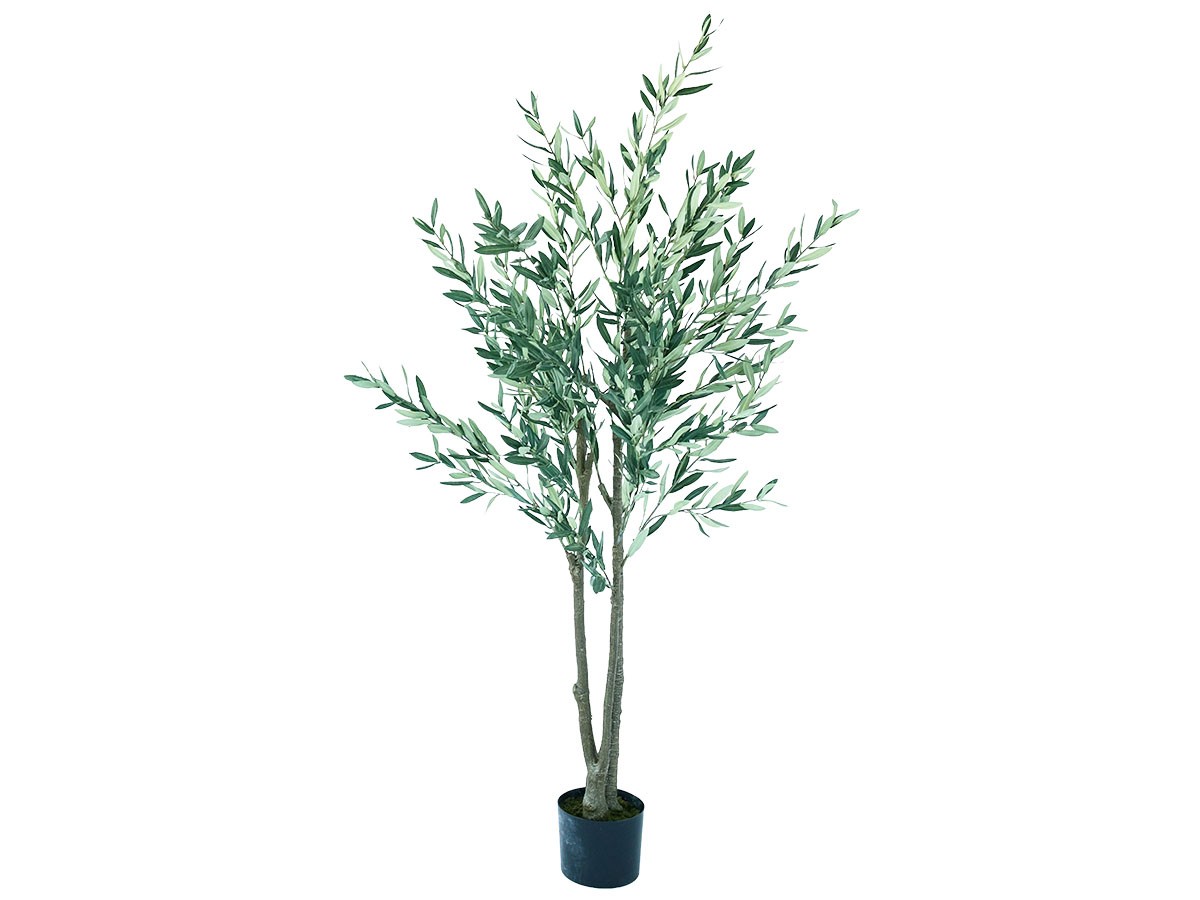 BROWN Olive Pot