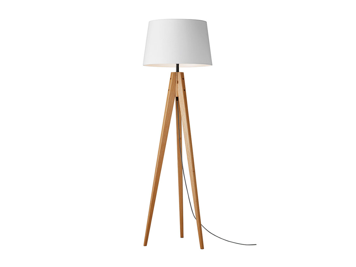 FLYMEe Parlor Floor Lamp