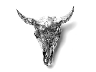 アメリカンインディアン スカルオブジェバイソン 壁掛けオブジェ アメリカ製 DIESEL LIVING with SELETTI WUNDERKAMMER BISON SKULLl - I'm