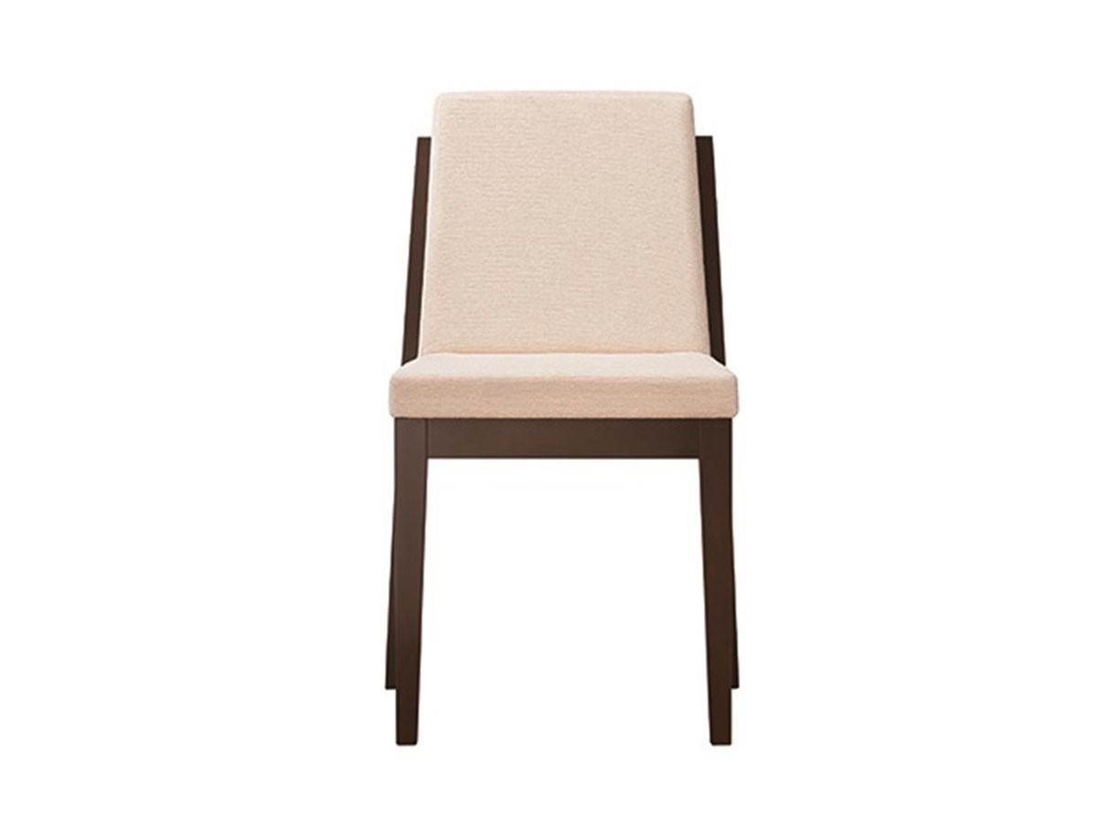 ABORD DINING CHAIR / アボール ダイニングチェア W073 （チェア・椅子 > ダイニングチェア） 17