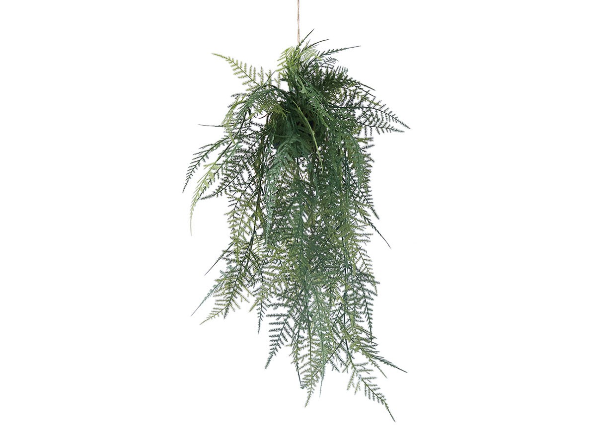 BROWN Fern Hanging Ball / ブラウン ファーン ハンギングボール 53 (花器・プランター・グリーン > フェイクグリーン・フェイクフラワー) 1