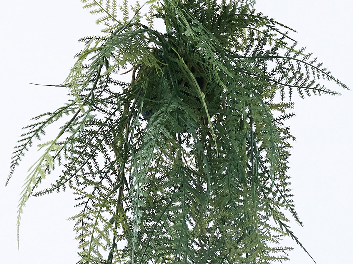 BROWN Fern Hanging Ball / ブラウン ファーン ハンギングボール 53 （花器・プランター・グリーン > フェイクグリーン・フェイクフラワー） 6
