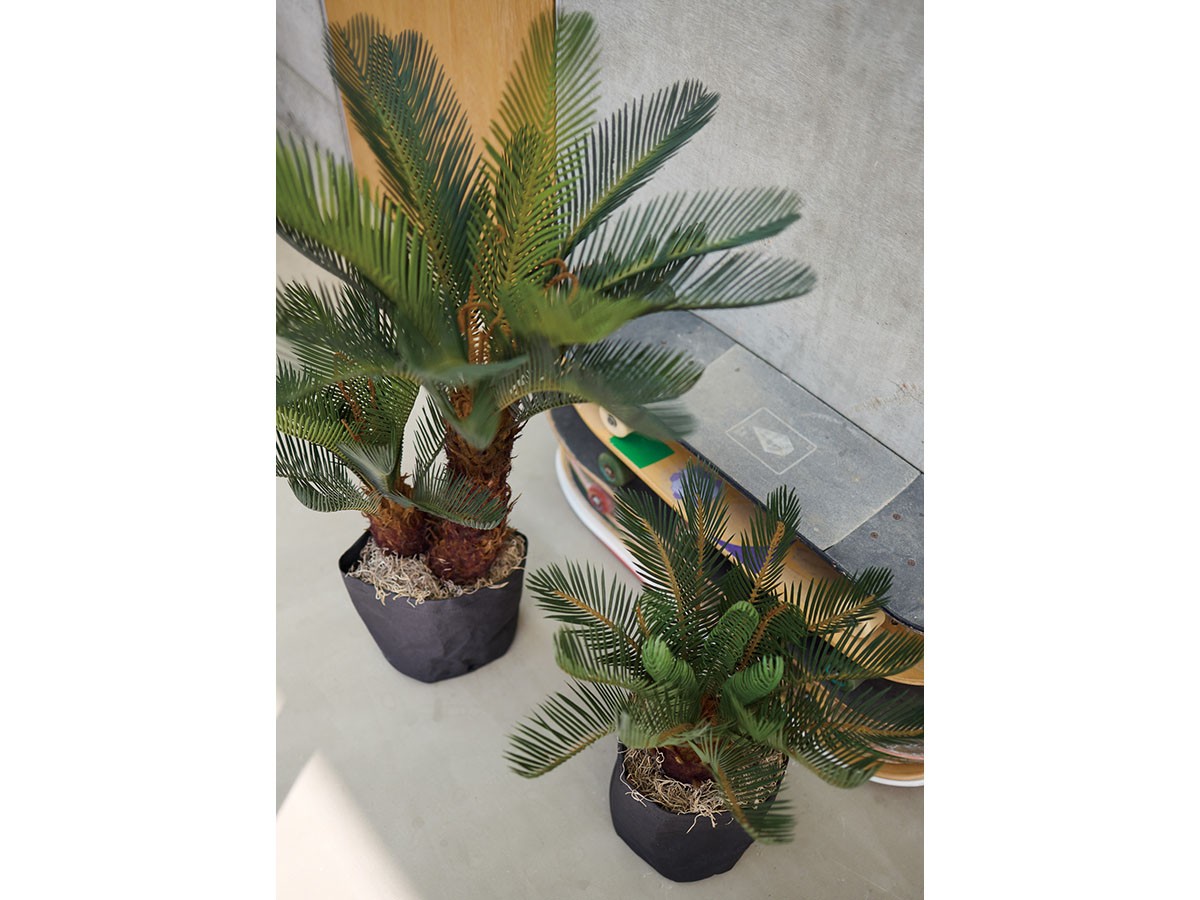 BROWN Cycad Pot / ブラウン ソテツ ポット 86 （花器・プランター・グリーン > フェイクグリーン・フェイクフラワー） 2