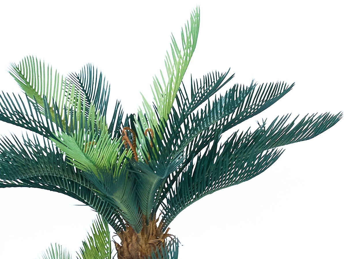 BROWN Cycad Pot / ブラウン ソテツ ポット 86 （花器・プランター・グリーン > フェイクグリーン・フェイクフラワー） 5
