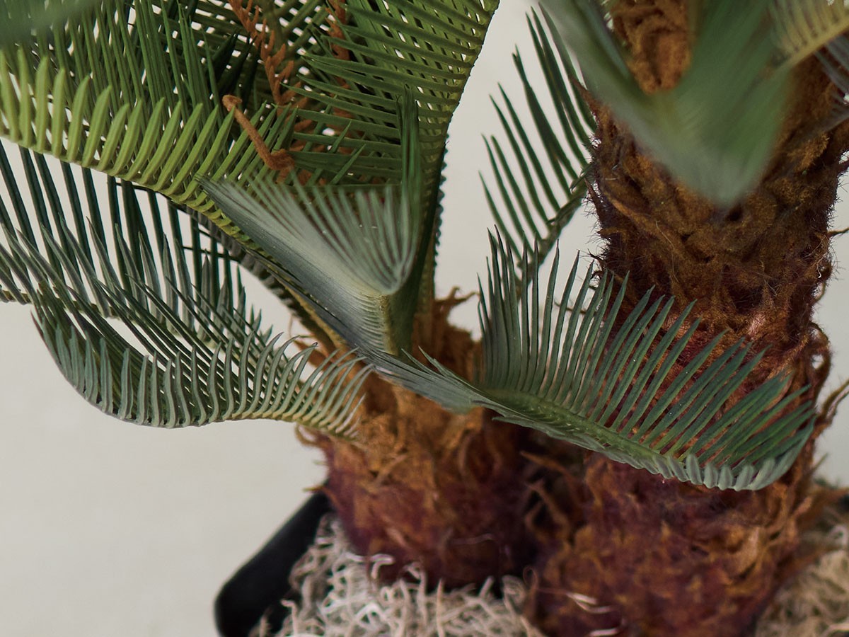 BROWN Cycad Pot / ブラウン ソテツ ポット 86 （花器・プランター・グリーン > フェイクグリーン・フェイクフラワー） 4
