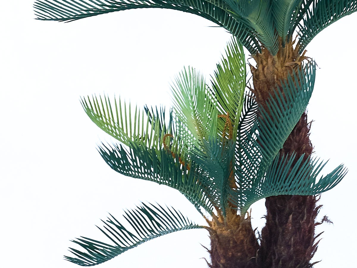 BROWN Cycad Pot / ブラウン ソテツ ポット 86 （花器・プランター・グリーン > フェイクグリーン・フェイクフラワー） 6