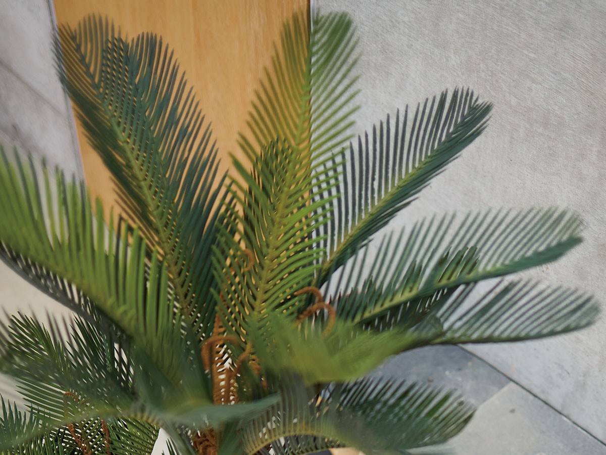 BROWN Cycad Pot / ブラウン ソテツ ポット 86 （花器・プランター・グリーン > フェイクグリーン・フェイクフラワー） 3