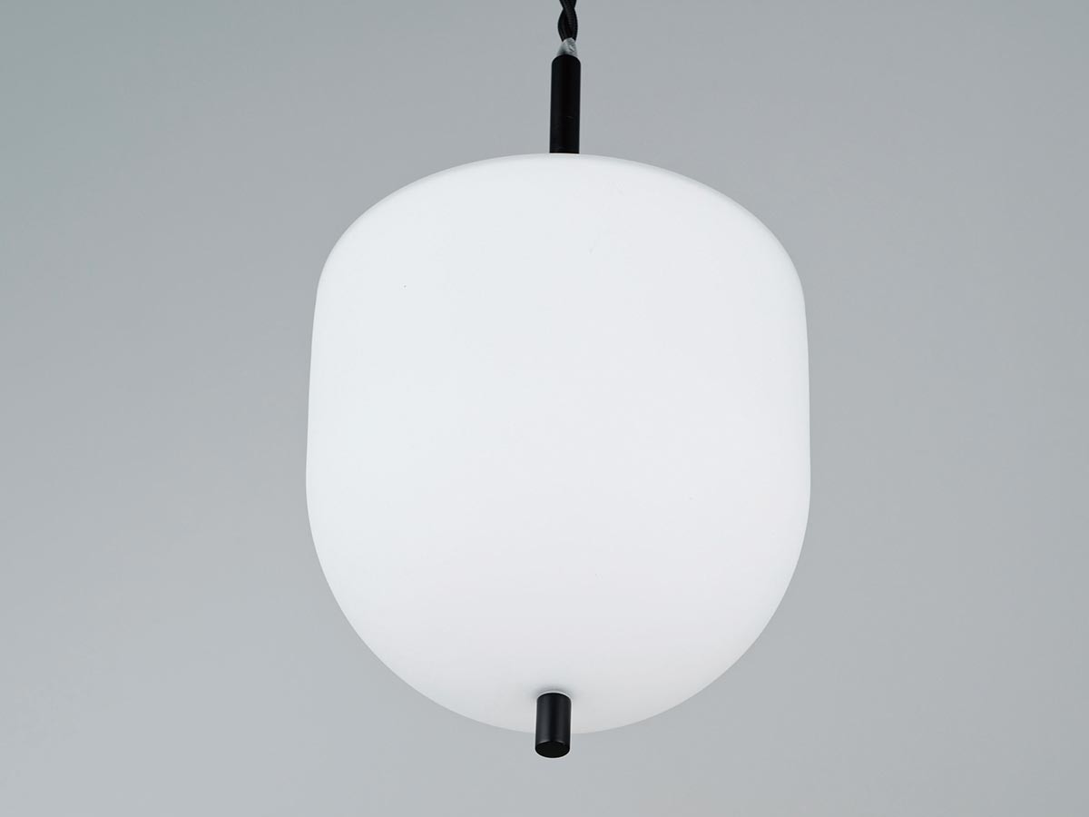 Pendant Light / ペンダントライト #120005 （ライト・照明 > ペンダントライト） 25