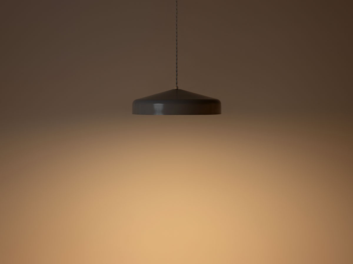 PENDANT LIGHT / ペンダントライト #121997 （ライト・照明 > ペンダントライト） 4