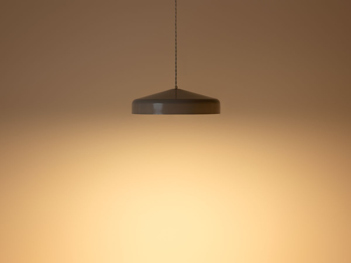 PENDANT LIGHT / ペンダントライト #121997 （ライト・照明 > ペンダントライト） 5