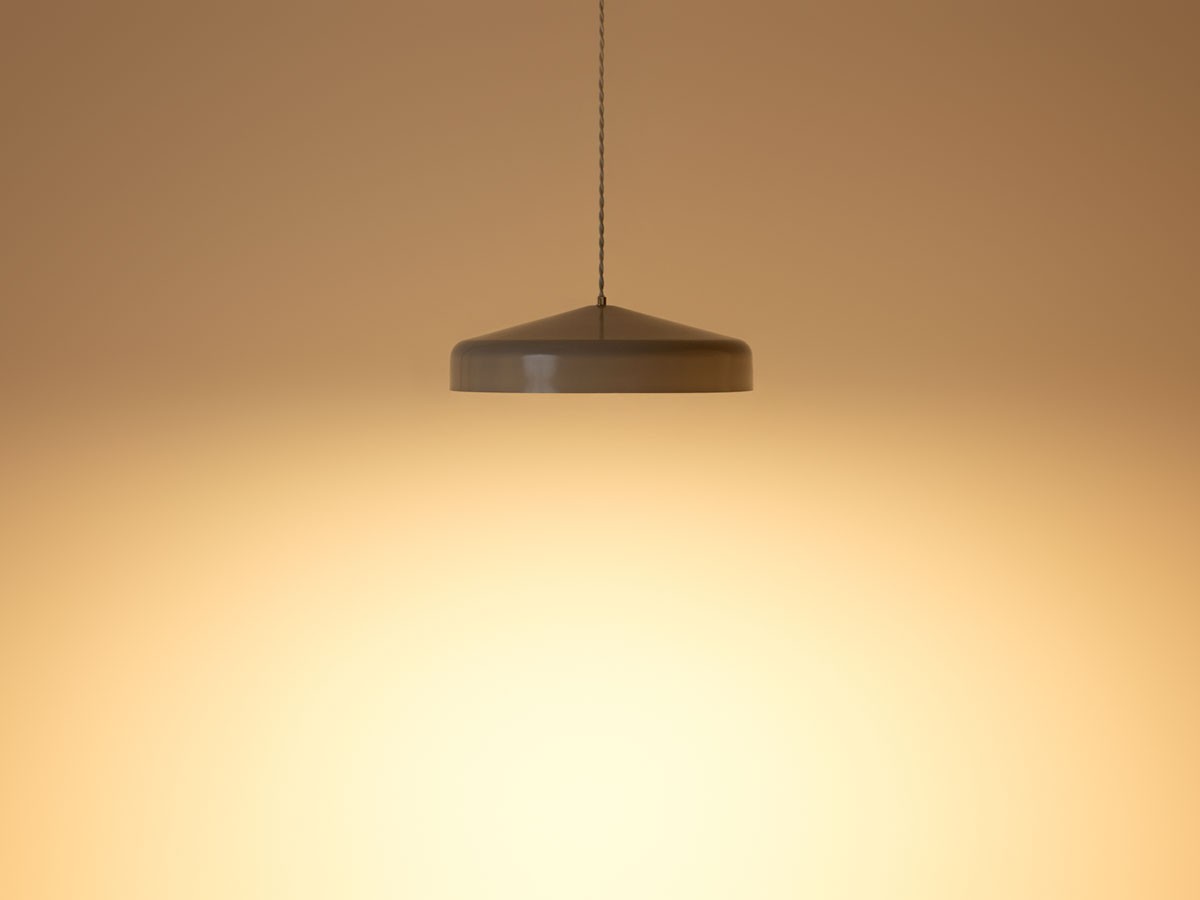 PENDANT LIGHT / ペンダントライト #121997 （ライト・照明 > ペンダントライト） 6