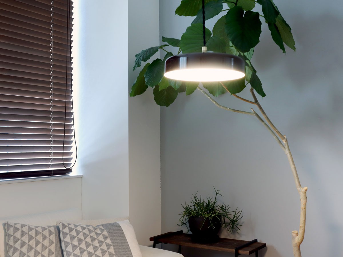 PENDANT LIGHT / ペンダントライト #121997 （ライト・照明 > ペンダントライト） 13