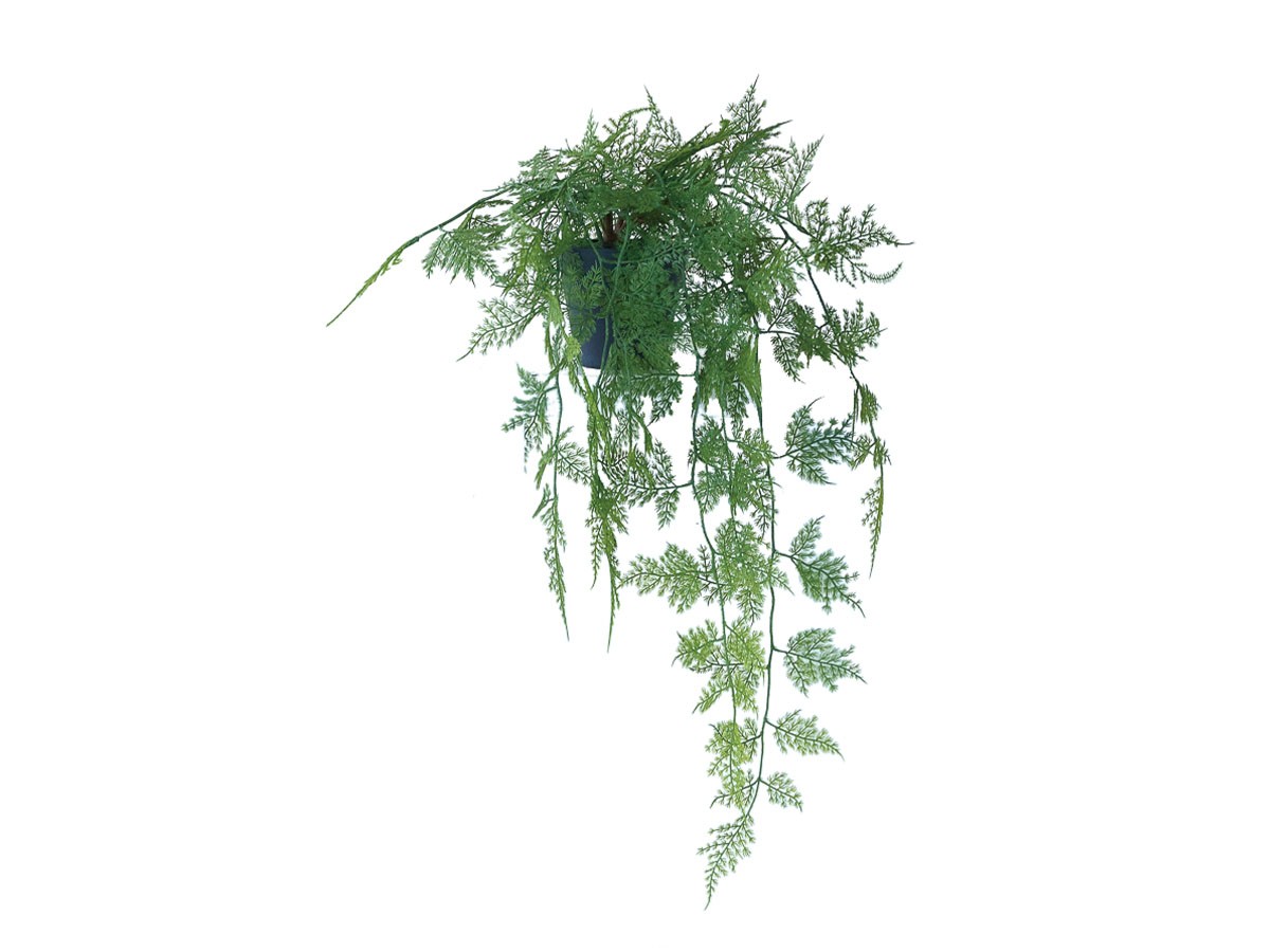 BROWN Asparagus Pot