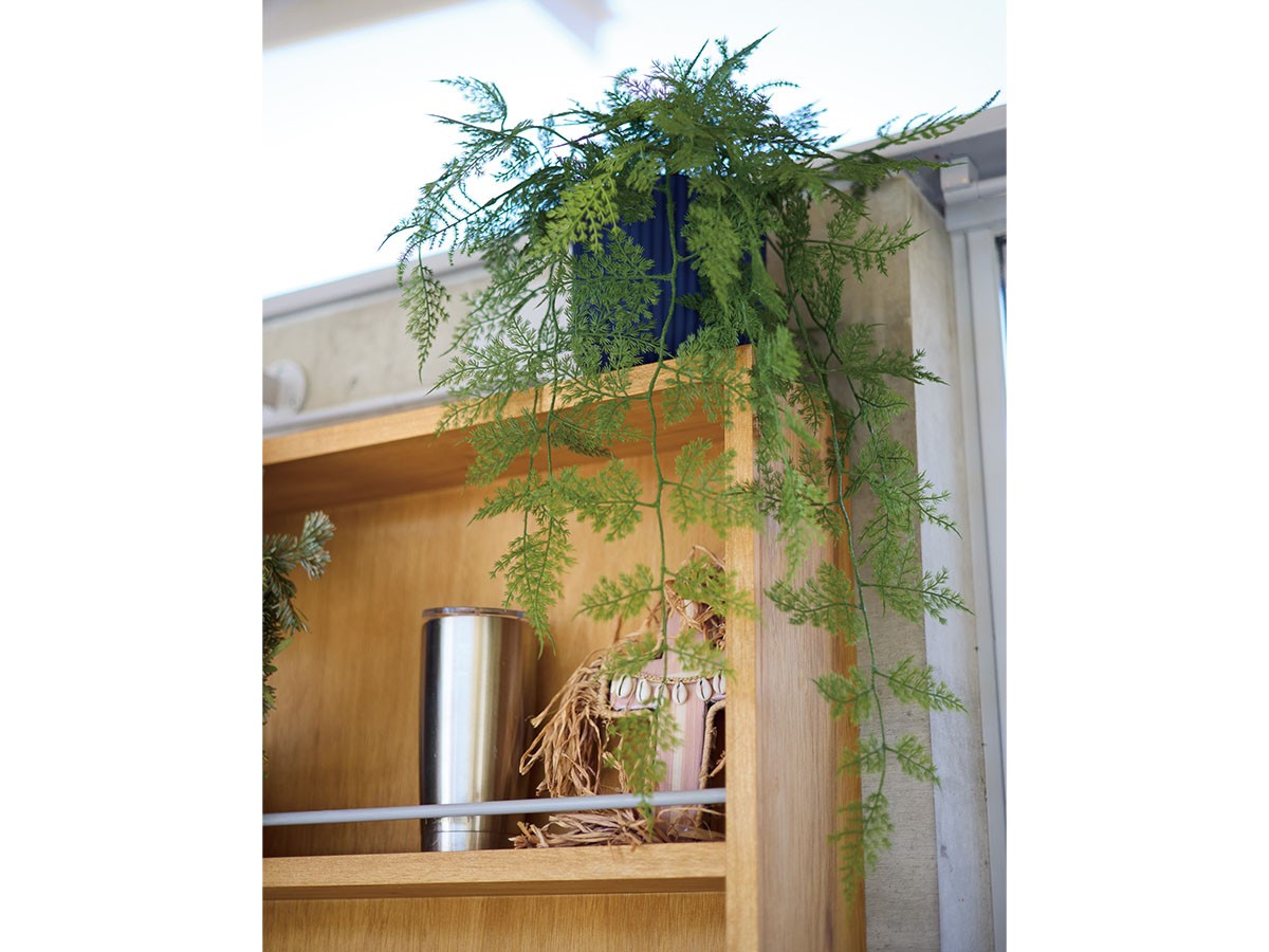 BROWN Asparagus Pot / ブラウン アスパラガス ポット 63 （花器・プランター・グリーン > フェイクグリーン・フェイクフラワー） 2
