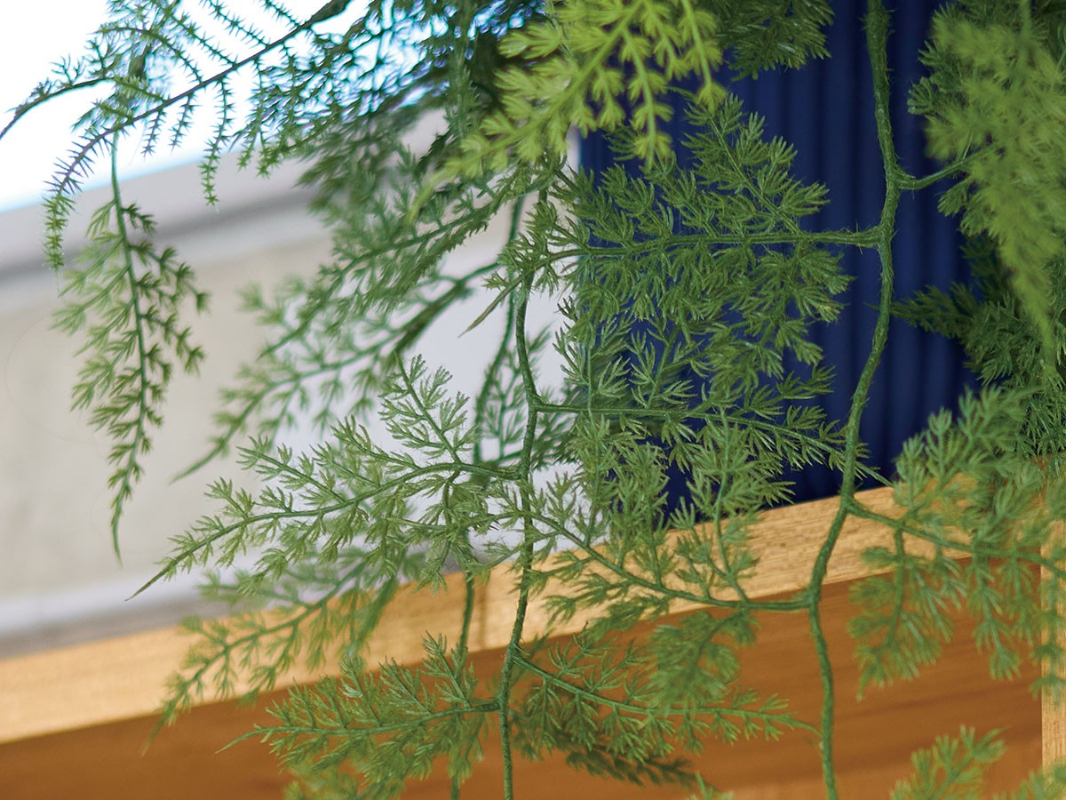 BROWN Asparagus Pot / ブラウン アスパラガス ポット 63 （花器・プランター・グリーン > フェイクグリーン・フェイクフラワー） 3