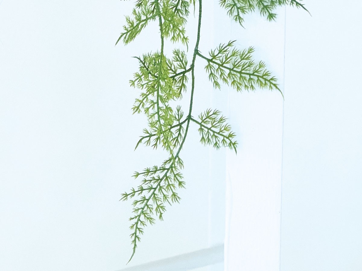 BROWN Asparagus Pot / ブラウン アスパラガス ポット 63 （花器・プランター・グリーン > フェイクグリーン・フェイクフラワー） 9