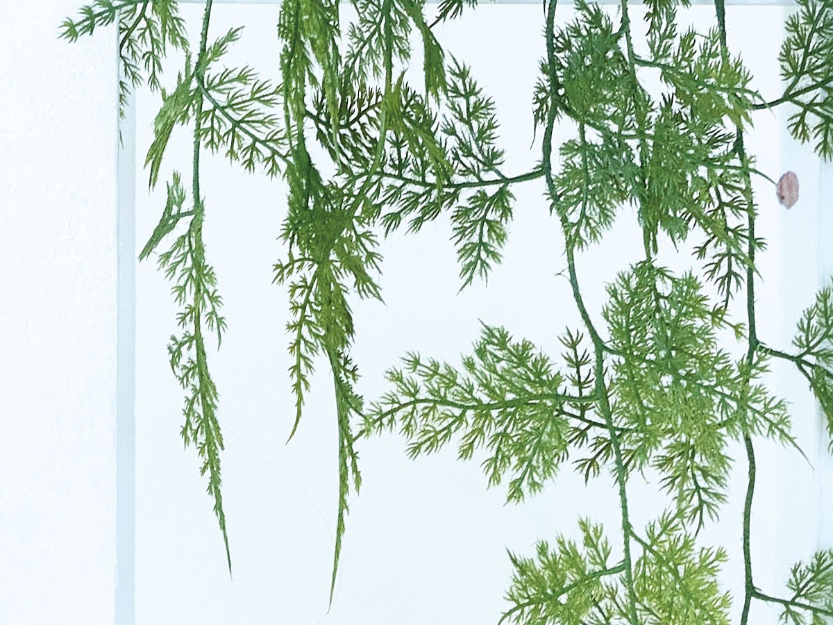 BROWN Asparagus Pot / ブラウン アスパラガス ポット 63 （花器・プランター・グリーン > フェイクグリーン・フェイクフラワー） 7