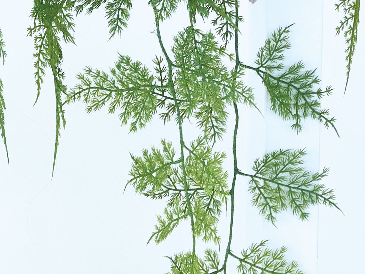 BROWN Asparagus Pot / ブラウン アスパラガス ポット 63 （花器・プランター・グリーン > フェイクグリーン・フェイクフラワー） 8