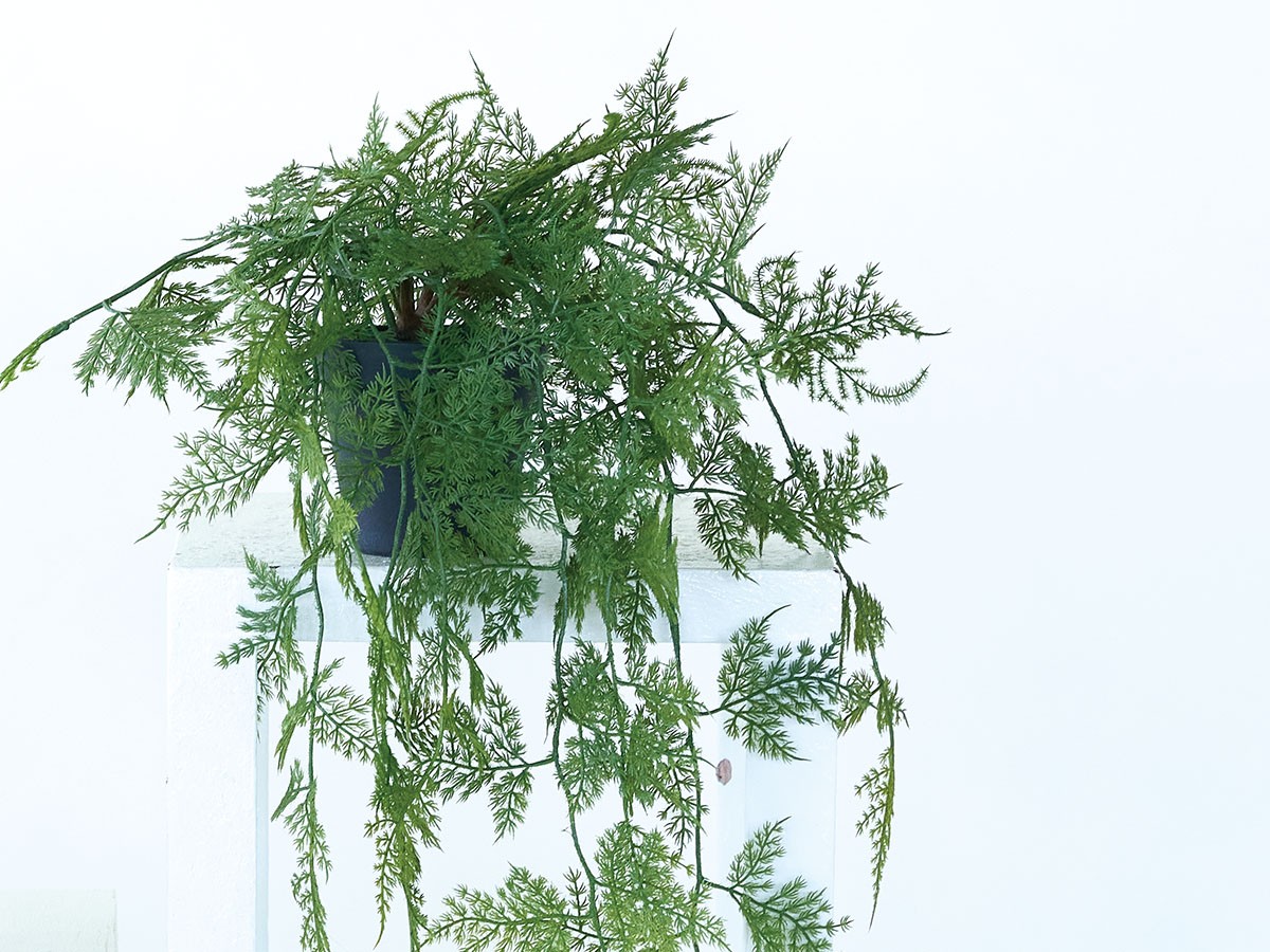 BROWN Asparagus Pot / ブラウン アスパラガス ポット 63 （花器・プランター・グリーン > フェイクグリーン・フェイクフラワー） 4