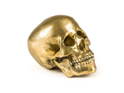 DIESEL LIVING with SELETTI WUNDERKAMMER HUMAN SKULL