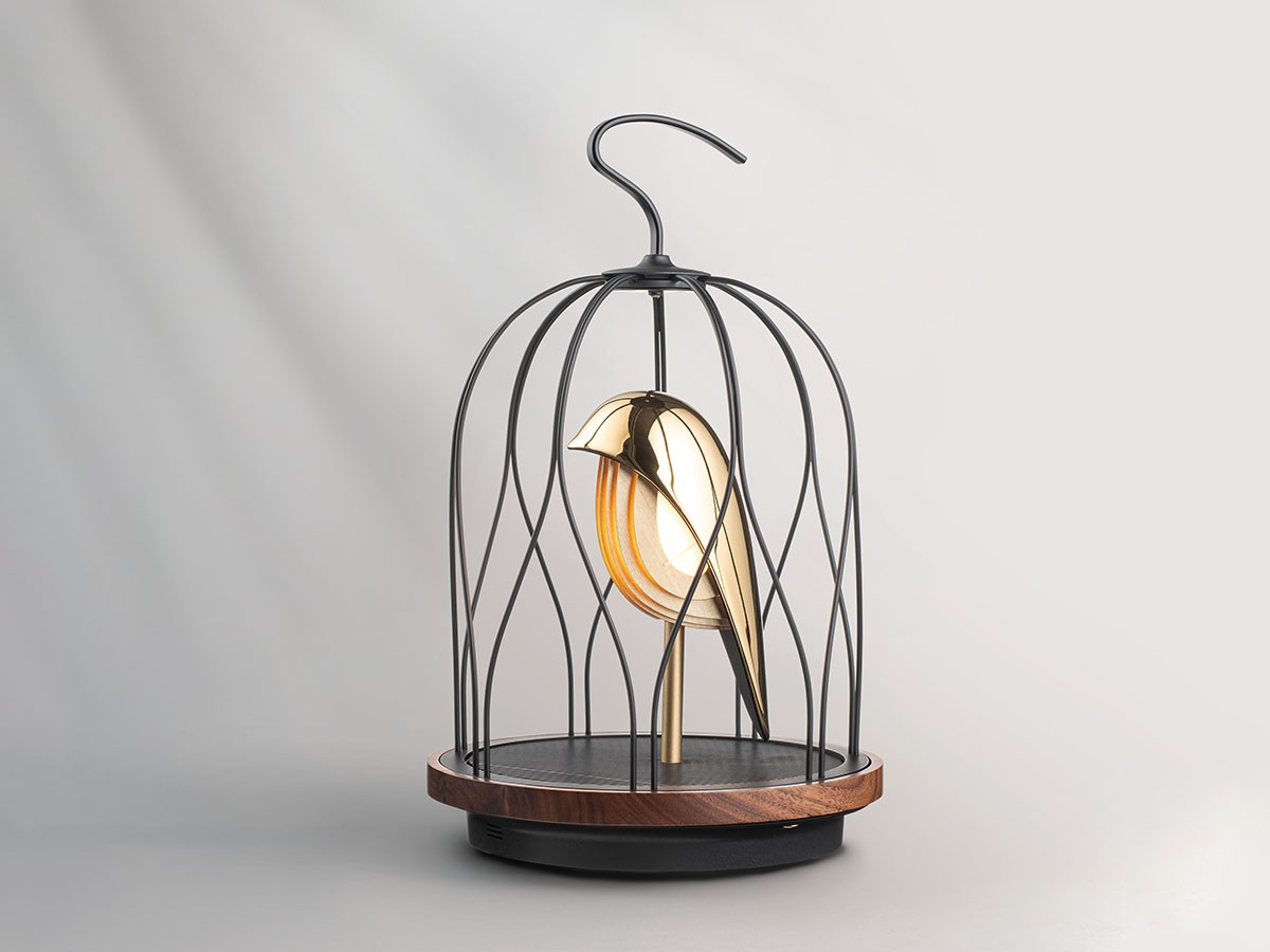 FLYMEe PLUS JINGOOs
The Phoenix