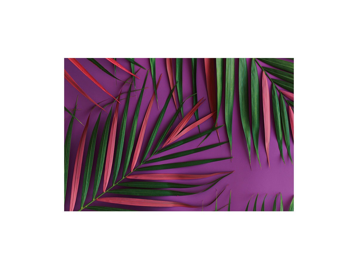 Botanic Palm Pink
