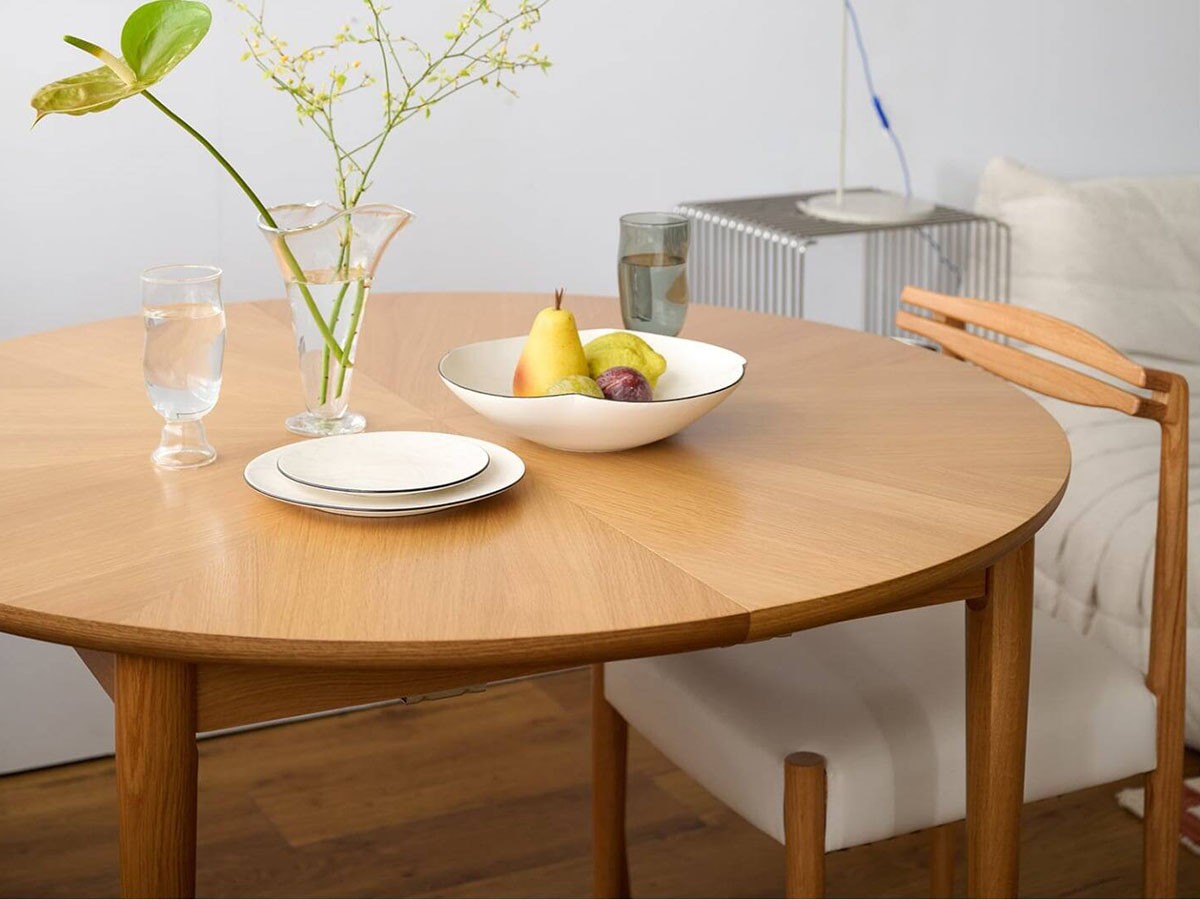 JOURNAL STANDARD FURNITURE AROS ROUND TABLE / ジャーナルスタンダードファニチャー アロス ラウンドテーブル 110cm （テーブル > ダイニングテーブル） 16