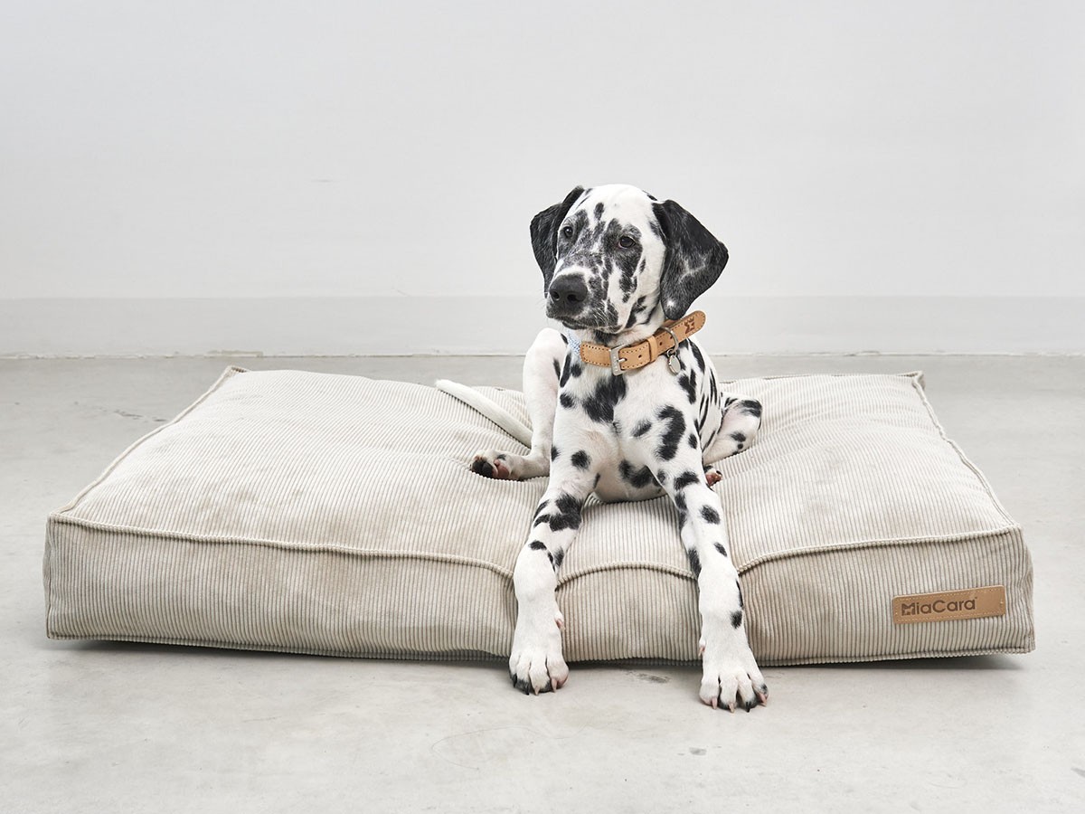 MiaCara Cordo Dog Cushion / ミアカラ コールド ドッグクッション Sサイズ （雑貨・その他インテリア家具 > ペット用品・家具） 2