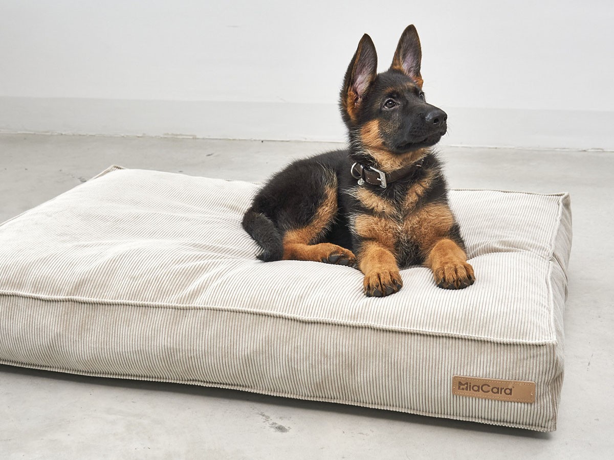 MiaCara Cordo Dog Cushion / ミアカラ コールド ドッグクッション Sサイズ （雑貨・その他インテリア家具 > ペット用品・家具） 10