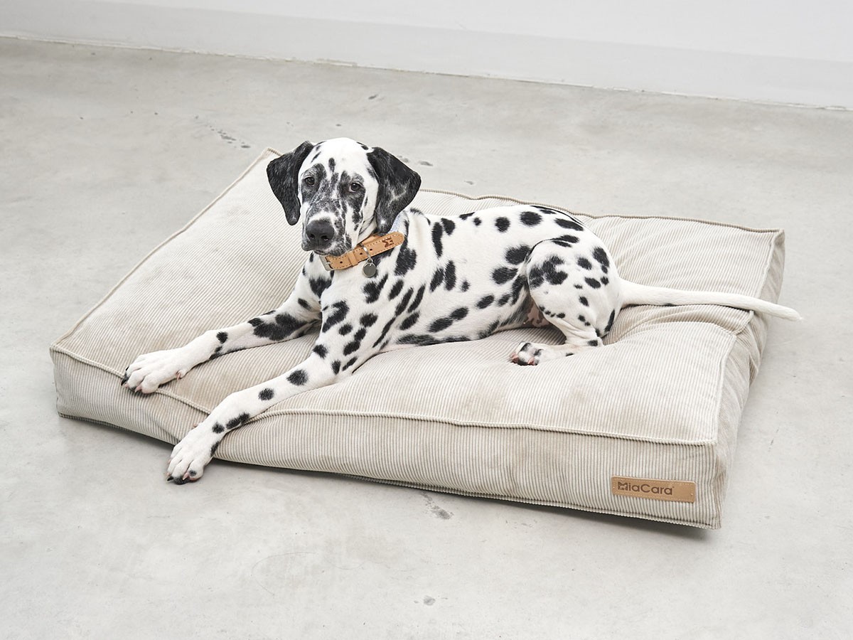 MiaCara Cordo Dog Cushion / ミアカラ コールド ドッグクッション Sサイズ （雑貨・その他インテリア家具 > ペット用品・家具） 6