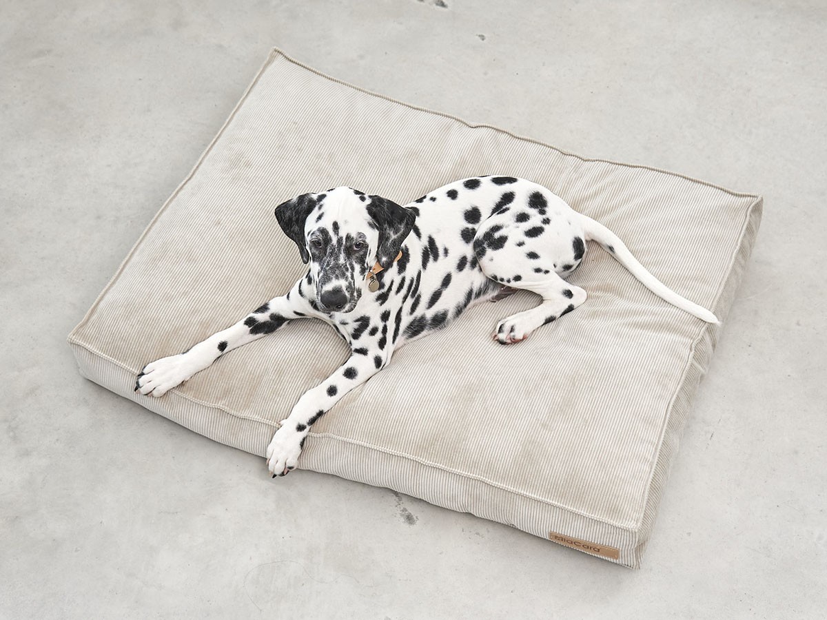 MiaCara Cordo Dog Cushion / ミアカラ コールド ドッグクッション Sサイズ （雑貨・その他インテリア家具 > ペット用品・家具） 7