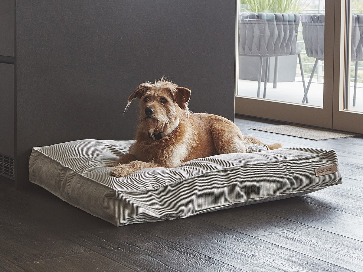 MiaCara Cordo Dog Cushion