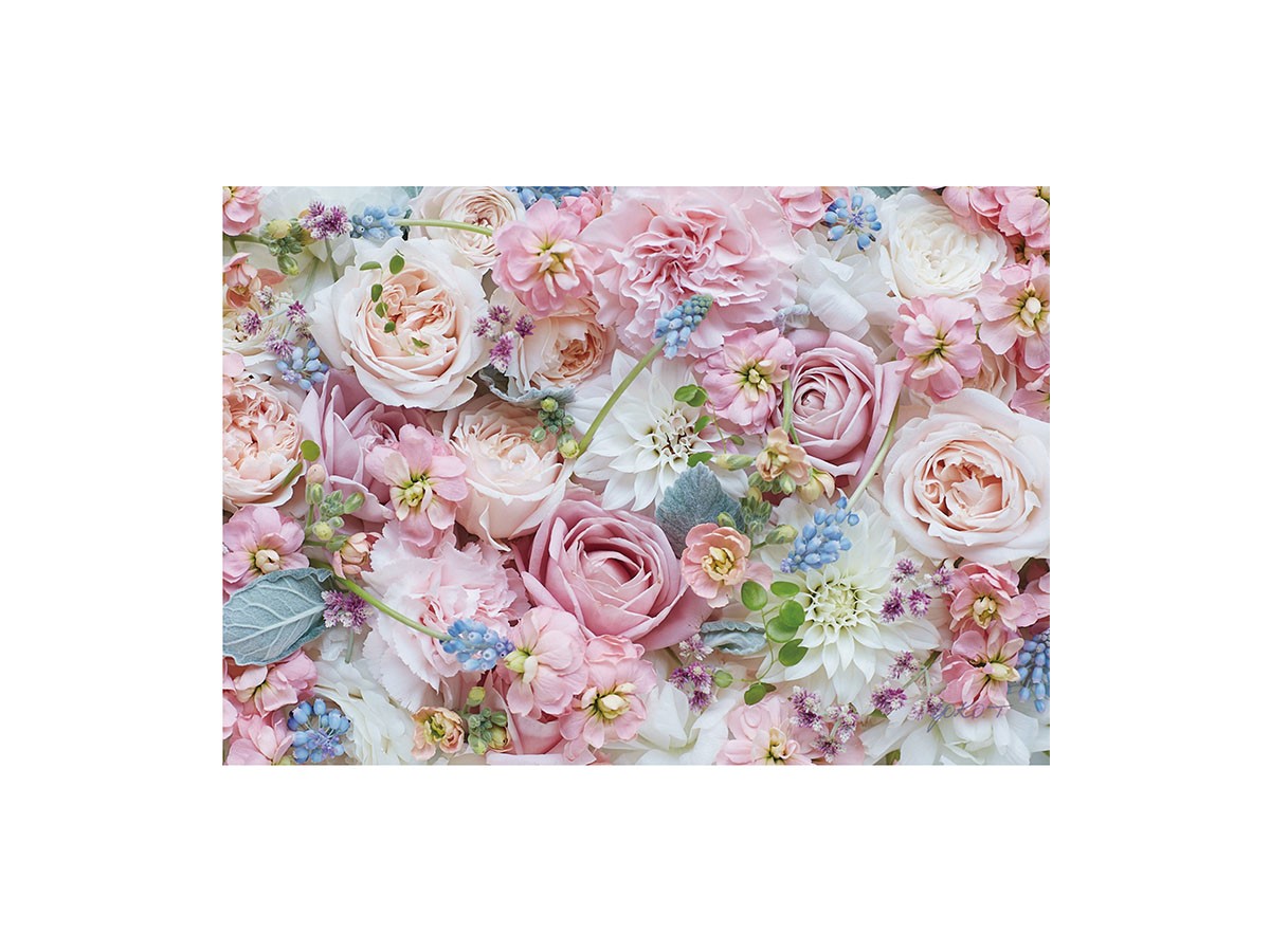 Pastel Bloom Rose Hermoney