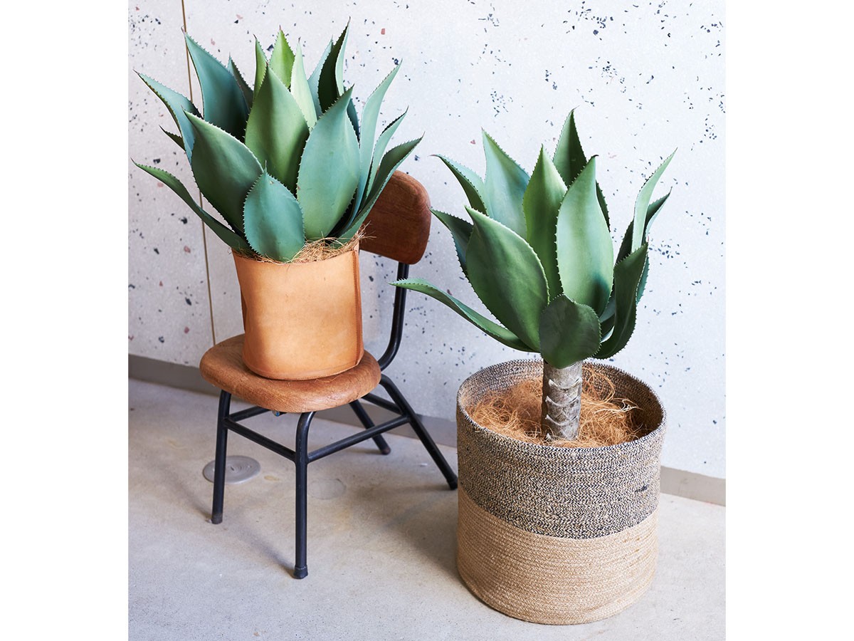 BROWN Agave Attenuata Pot / ブラウン アガべ アテナータ ポット 70 （花器・プランター・グリーン > フェイクグリーン・フェイクフラワー） 2