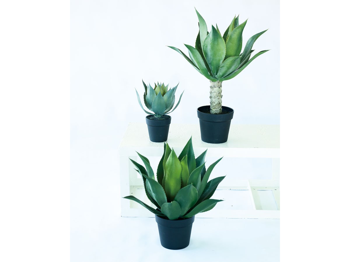 BROWN Agave Attenuata Pot / ブラウン アガべ アテナータ ポット 70 （花器・プランター・グリーン > フェイクグリーン・フェイクフラワー） 5
