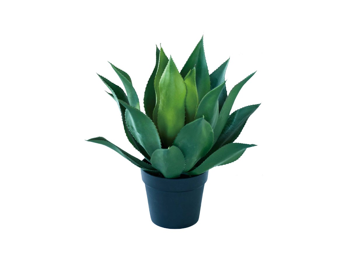 BROWN Agave Attenuata Pot / ブラウン アガべ アテナータ ポット 50 (花器・プランター・グリーン > フェイクグリーン・フェイクフラワー) 1