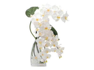 EMILIO ROBBA phalaenopsis 胡蝶蘭　造花 EMILIO ROBBA PHALAENOPSIS / エミリオロバ ファレノプシス
