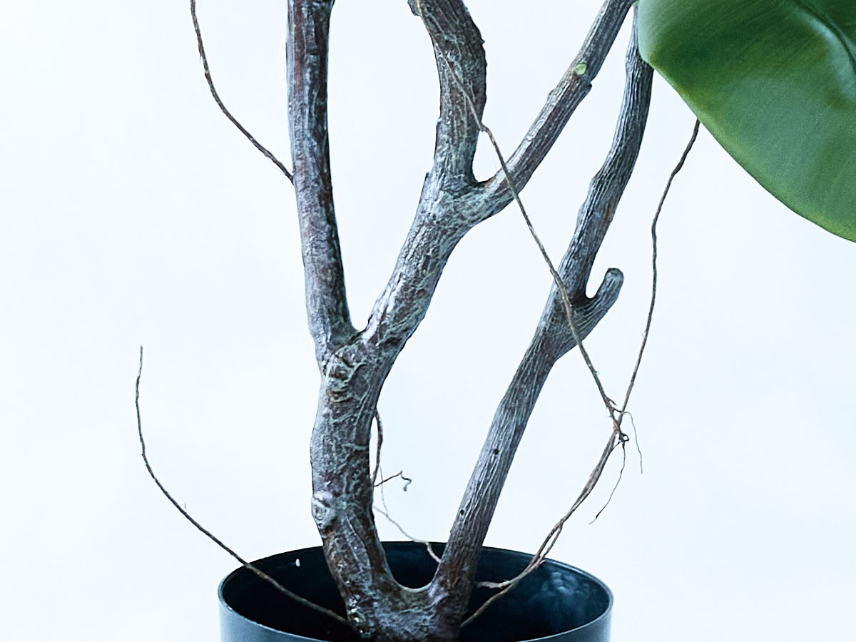 BROWN Ficus Sophia Pot / ブラウン フィカス ソフィア ポット 180 （花器・プランター・グリーン > フェイクグリーン・フェイクフラワー） 6