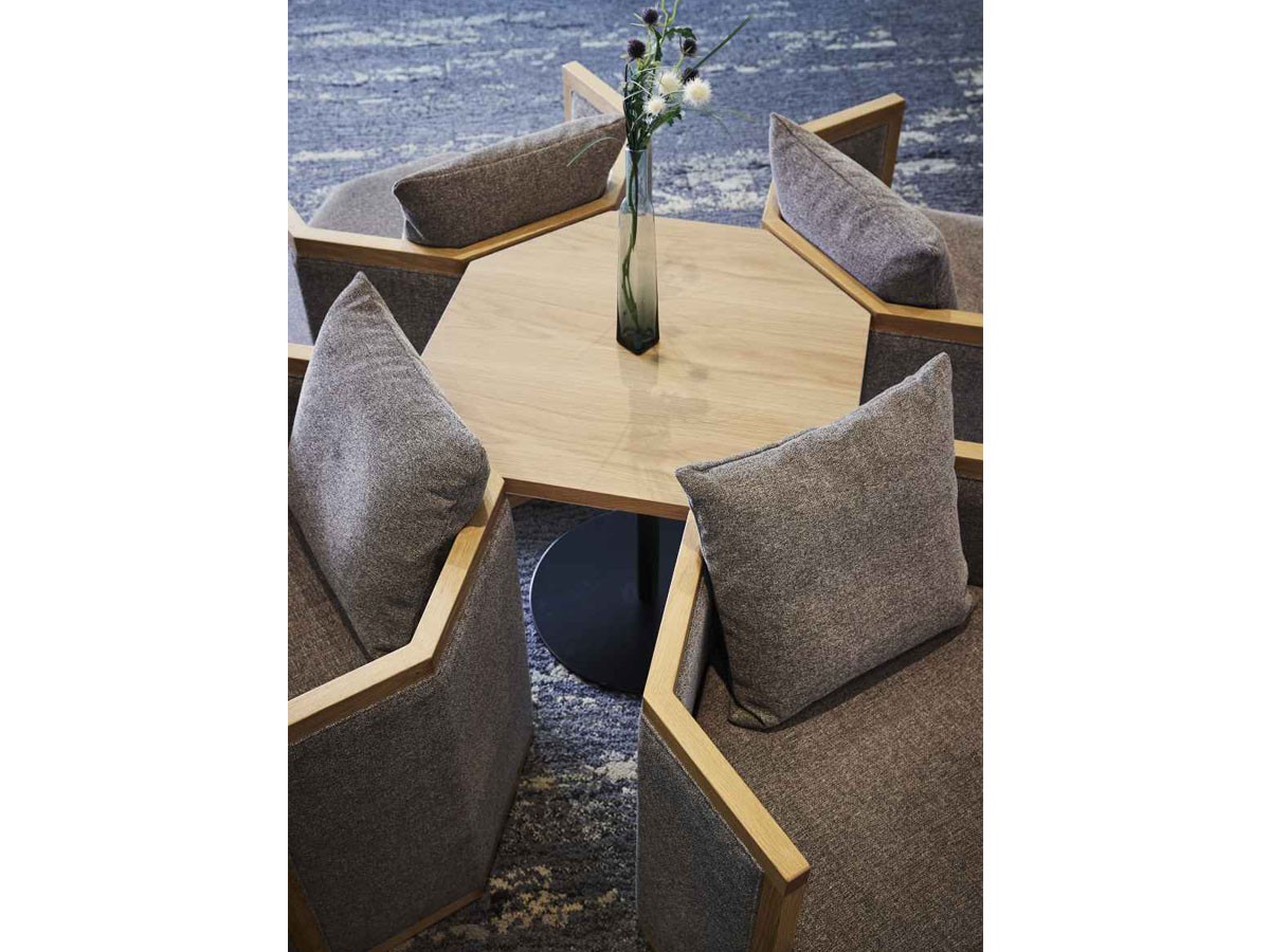 ABORD LOUNGE CHAIR / アボール ラウンジチェア W013 （チェア・椅子 > ラウンジチェア） 10