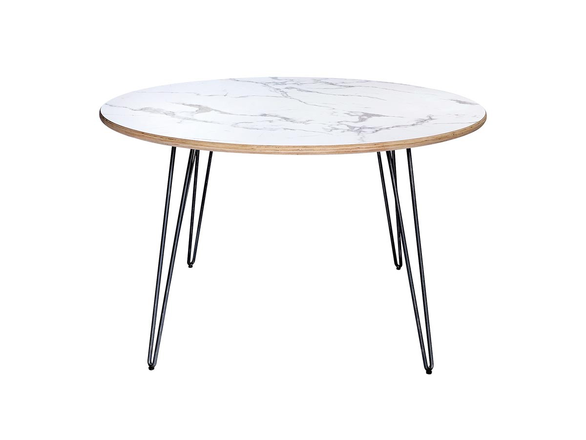 a.depeche CANTY round table 1200 / アデペシュ キャンティ ラウンドテーブル 1200 スチールレッグ 002 （テーブル > ダイニングテーブル） 10