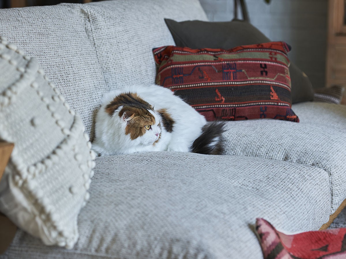 DELKA SOFA 1.5P / デルカ ソファ 1.5人掛け （ソファ > 一人掛けソファ） 18