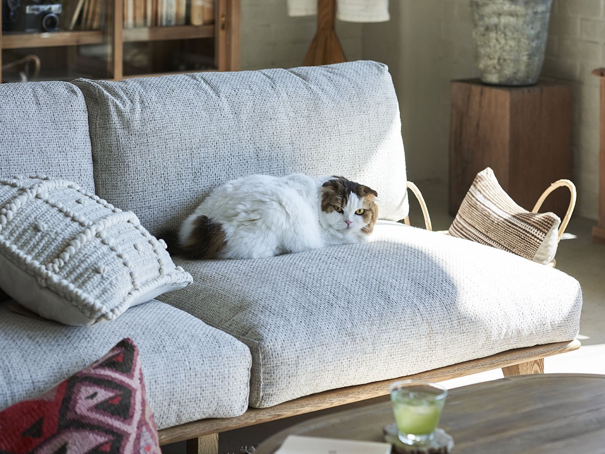 DELKA SOFA 1.5P / デルカ ソファ 1.5人掛け （ソファ > 一人掛けソファ） 17