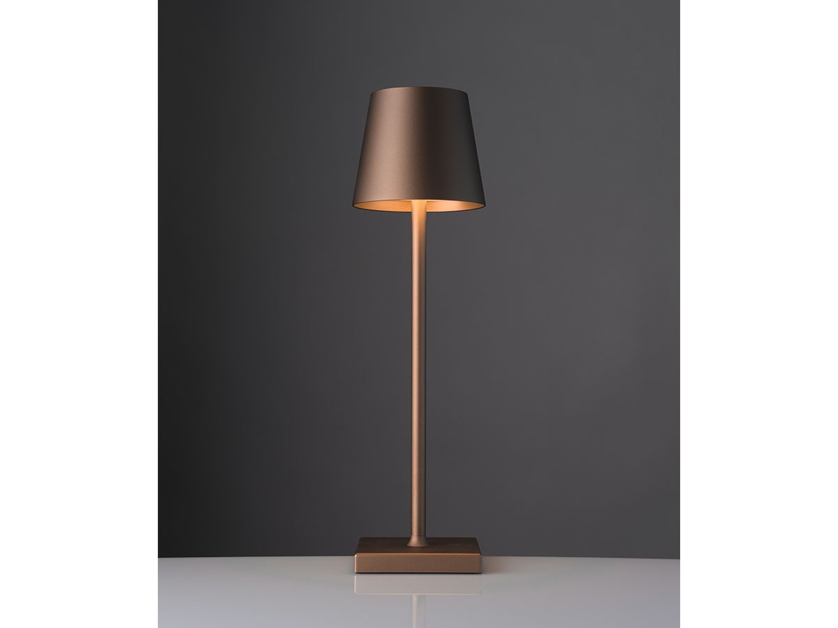 Cordless Lamp / コードレスランプ #109157 （ライト・照明 > テーブルランプ） 71